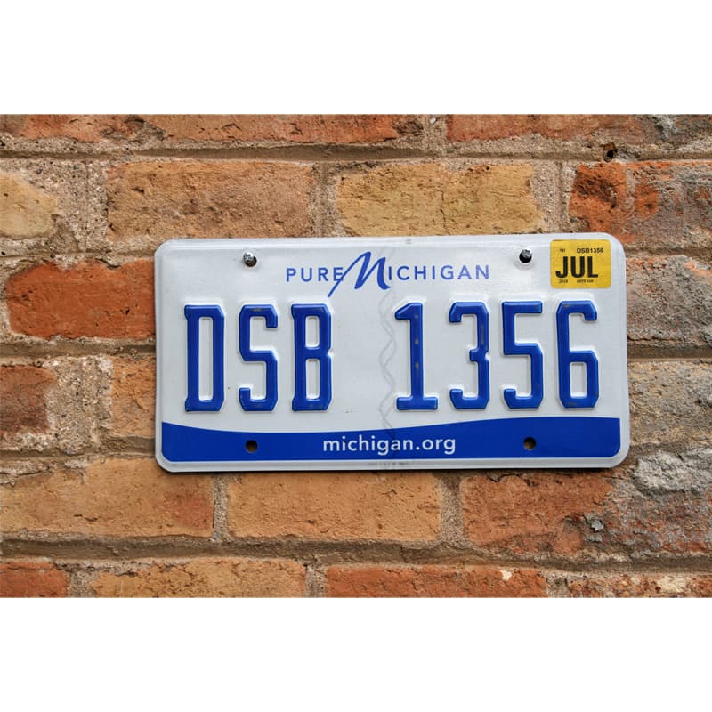 Matrículas Americanas Michigan