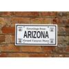 Placa Matrícula Route 66 Arizona