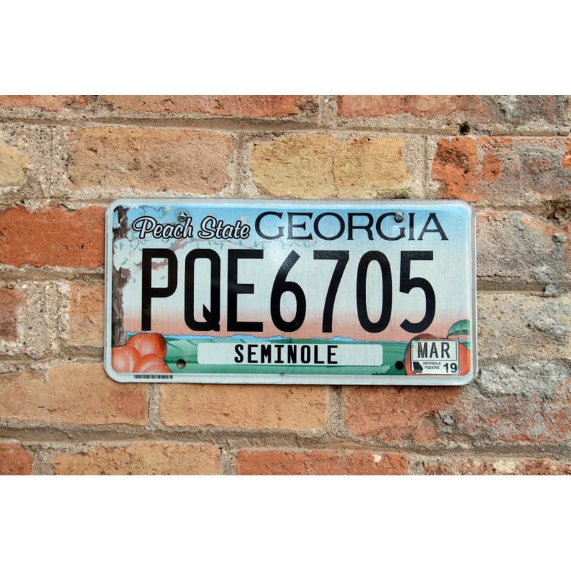 Matrículas Americanas Georgia Peach State