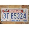 Matrículas Americanas Montana Bicentennial