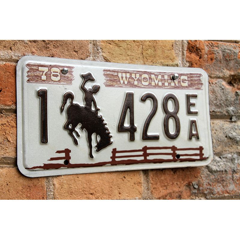 Matrículas Americanas Wyoming 1978-1982 - Imagen 2