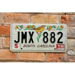 Matrículas Americanas South Carolina 1991-1998