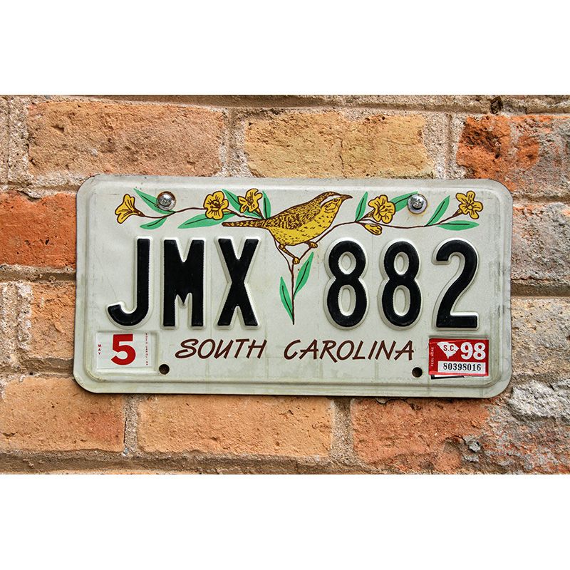 Matrículas Americanas South Carolina 1991-1998
