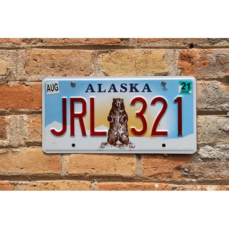 Matrículas Americanas Alaska Bear