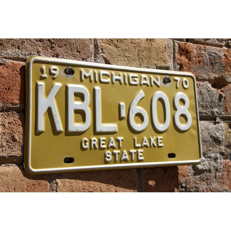 Matrículas Americanas Michigan Año 1970 - Imagen 2