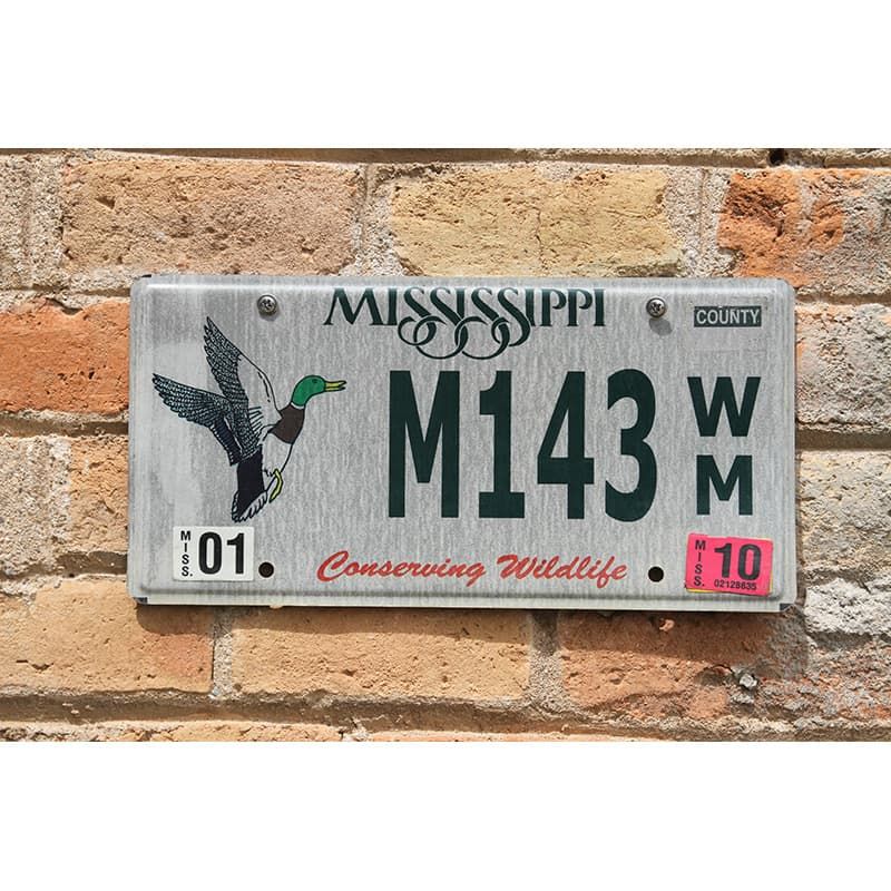 Matrículas Americanas Mississippi Conserving Wildlife Duck