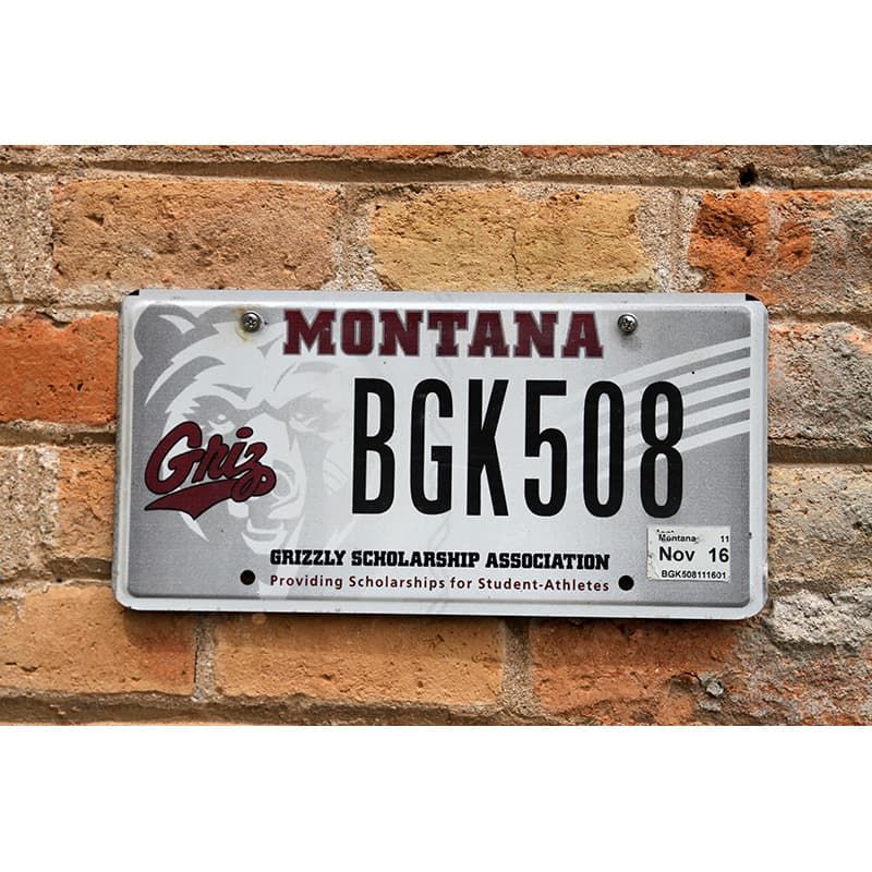 Matrículas Americanas Montana Grizzly Scholarship