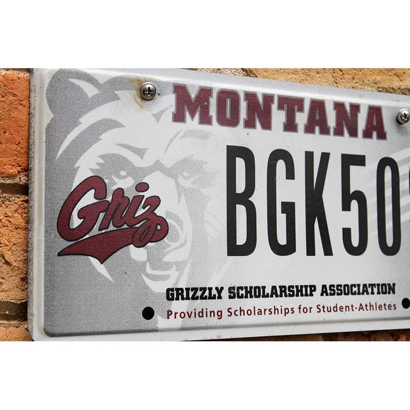 Matrículas Americanas Montana Grizzly Scholarship - Imagen 2