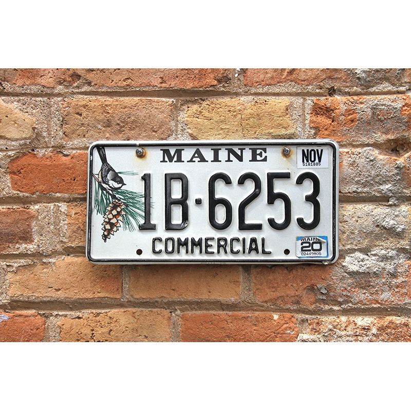 Matrículas Americanas Maine Commercial