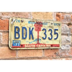 Matrículas Americanas South Carolina Bicentennial - Imagen 2