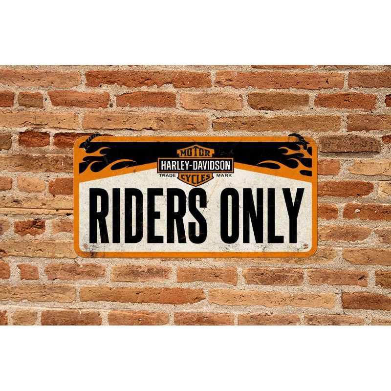 Placa decorativa Matricula de Moto Harley Davidson Riders Only 10x20 cm - Imagen 2