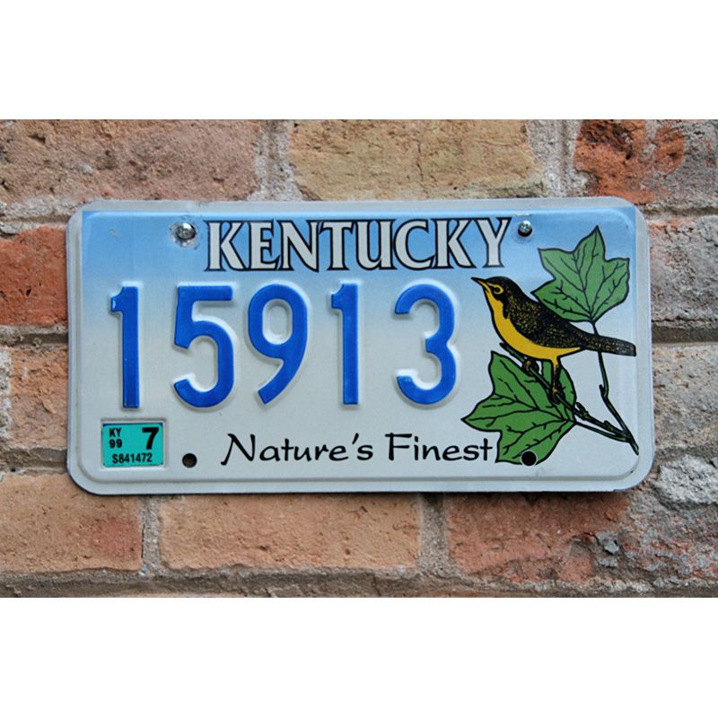 Matrículas Americanas Kentucky Nature Finest 2