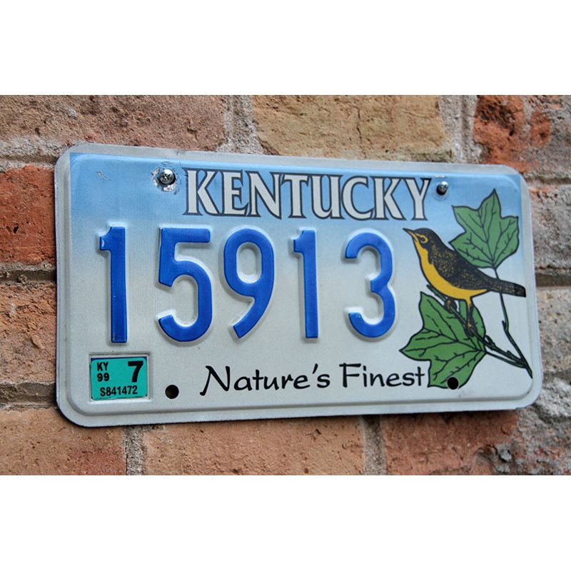Matrículas Americanas Kentucky Nature Finest 2 - Imagen 2
