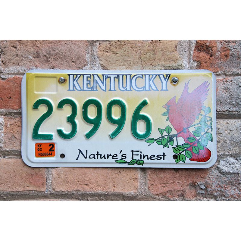 Matrículas Americanas Kentucky Nature Finest