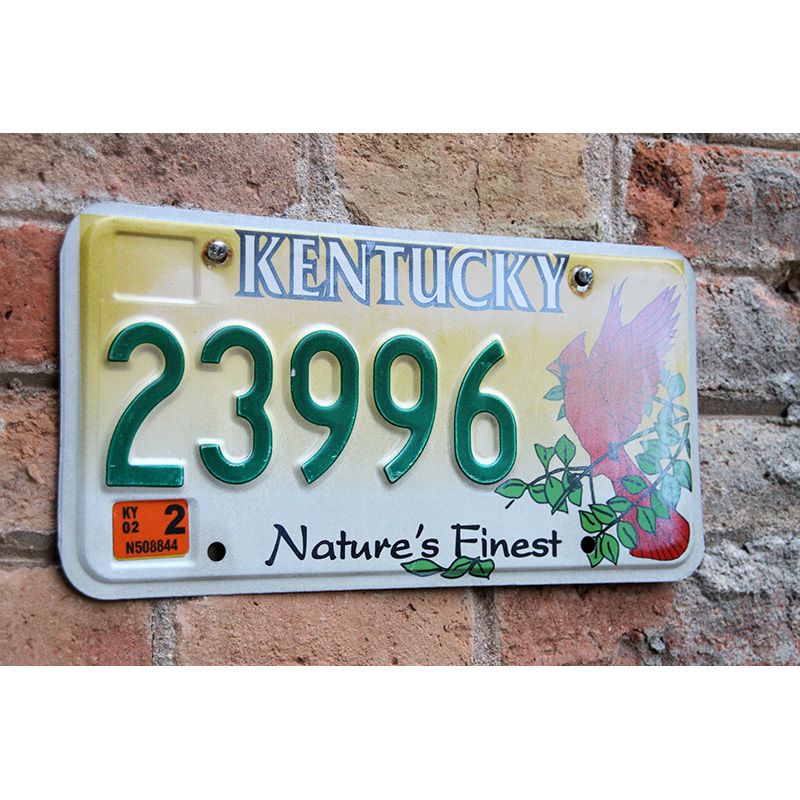 Matrículas Americanas Kentucky Nature Finest - Imagen 2