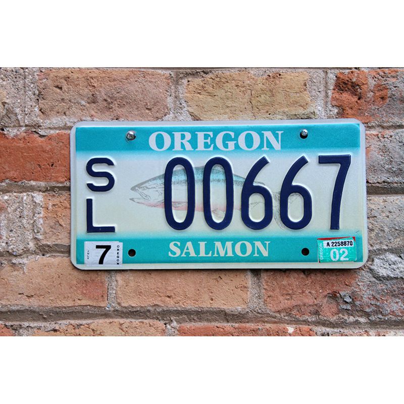 Matrículas Americanas Oregon Salmon