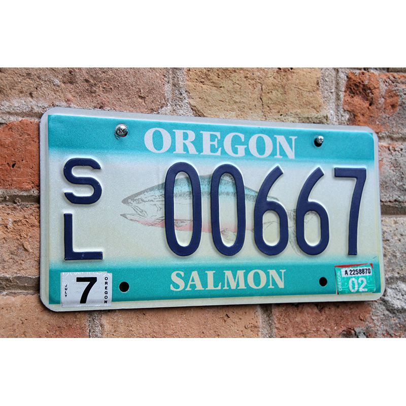 Matrículas Americanas Oregon Salmon - Imagen 2