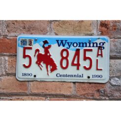 Matrículas Americanas Wyoming Centennial