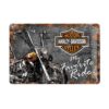 Placa decorativa Harley Davidson My favorite Ride 20x30 cm