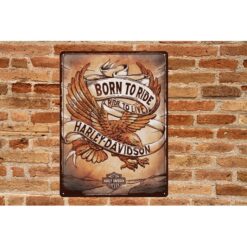 Placa decorativa Harley Davidson Born to Ride Ride to Live 30x40 cm - Imagen 2
