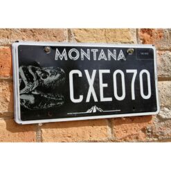 Matrículas Americanas Montana Dino - Imagen 2