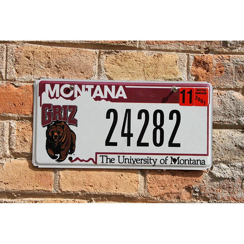 Matrículas Americanas Montana University of Montana