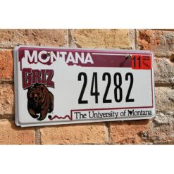 Matrículas Americanas Montana University of Montana - Imagen 2