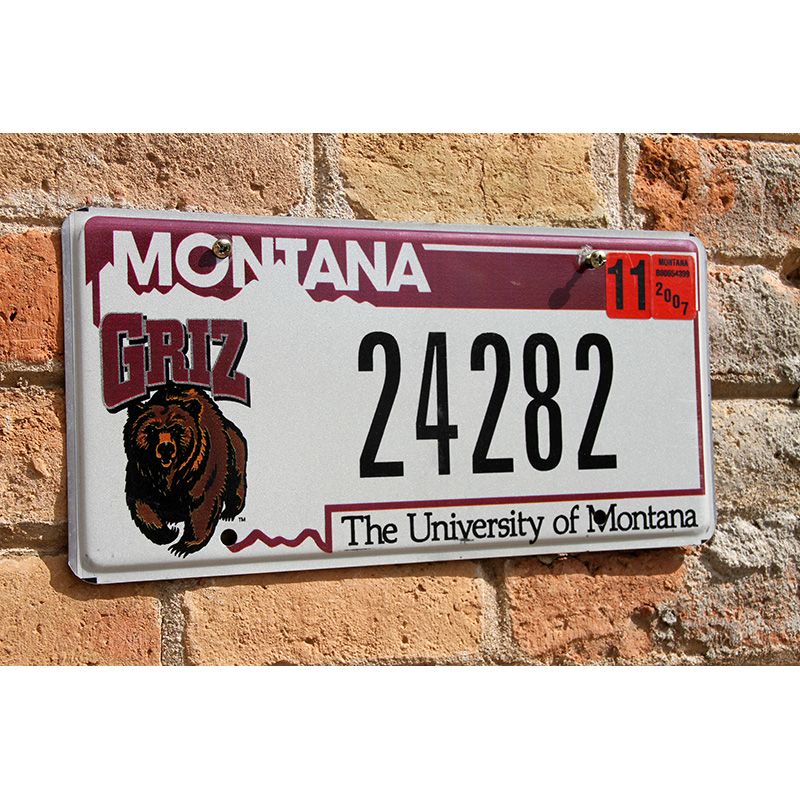 Matrículas Americanas Montana University of Montana - Imagen 2