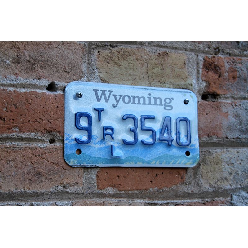 Matrículas Americanas Wyoming Moto - Imagen 2