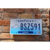Matrículas Americanas Kentucky Año 2022